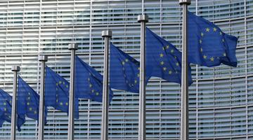 EU flags