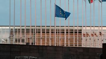 european union flags