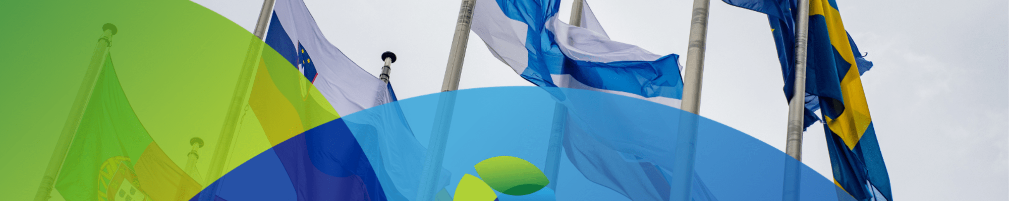 EU flags with AdaptationHubs branding