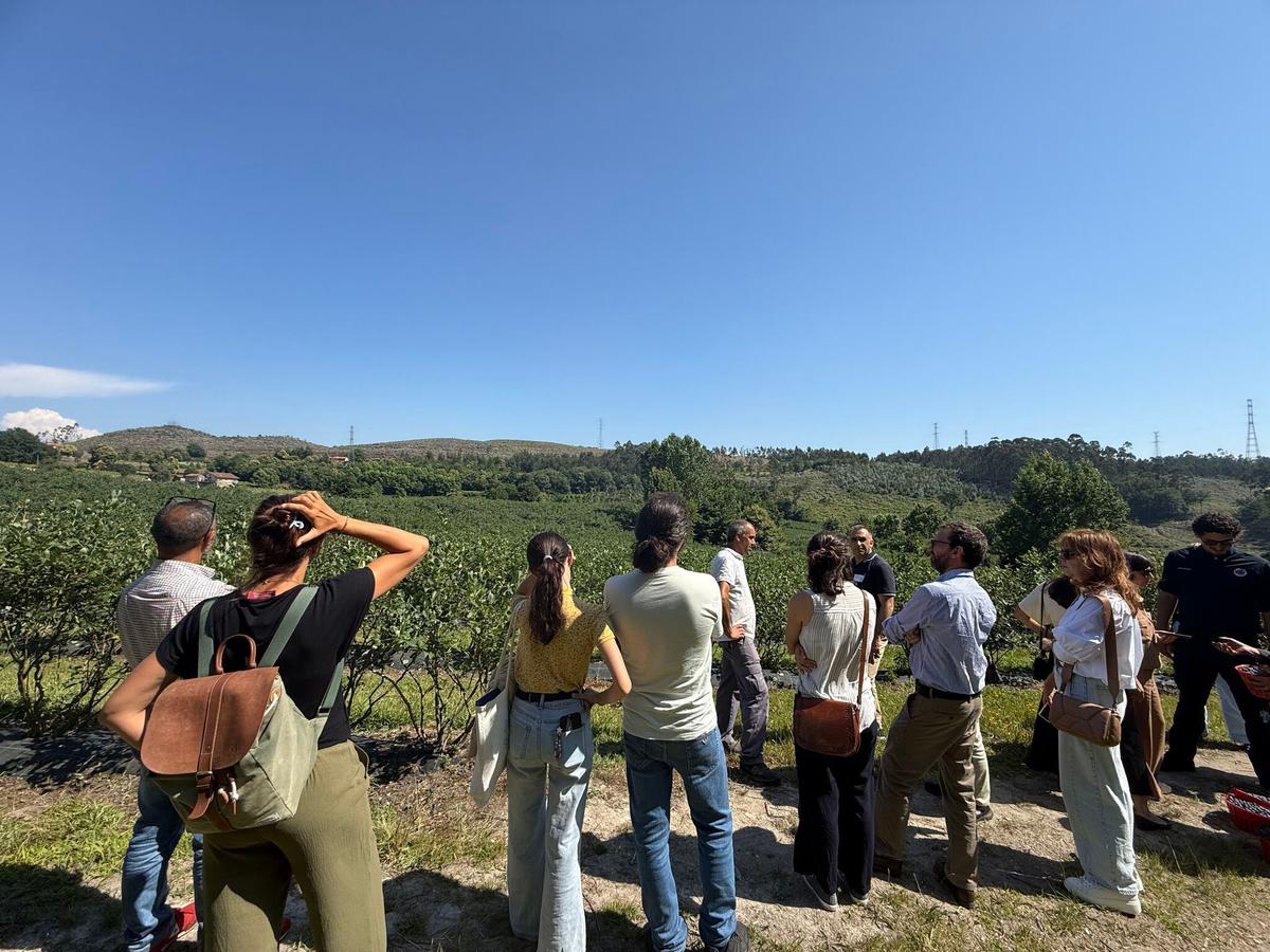 Portuguese Hub wildfire resilience workshop
