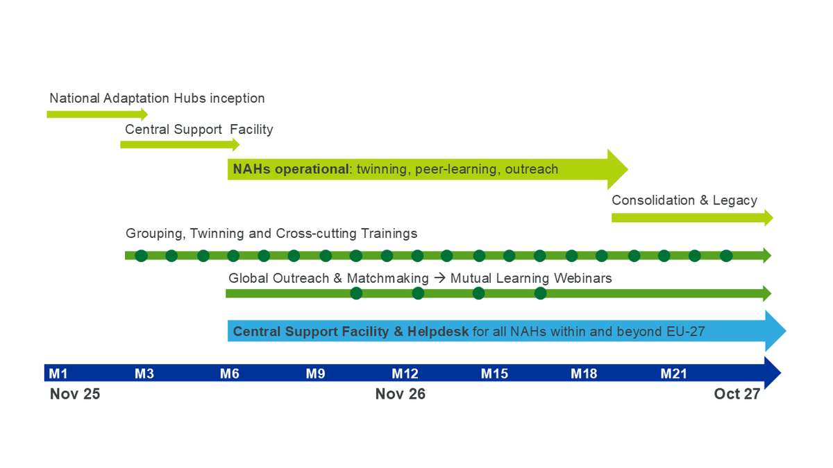 Project Timeline